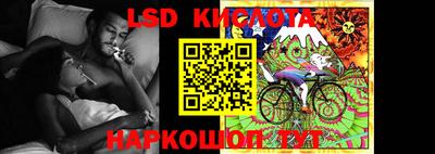прущие грибы Будённовск