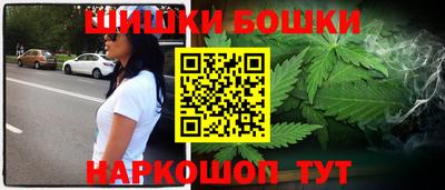 прущие грибы Будённовск