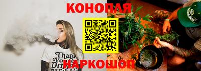прущие грибы Будённовск