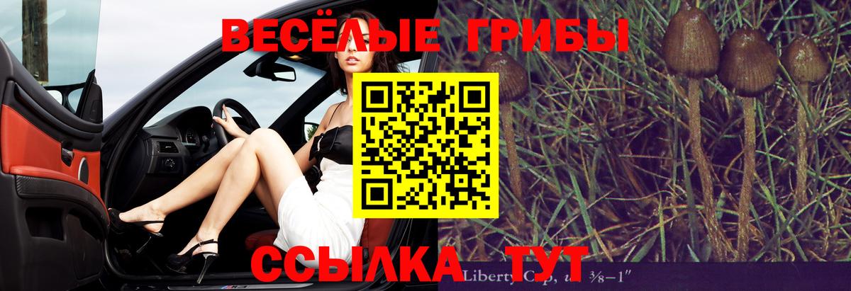 Реж  закладка  Вход с VPN  Псилоцибиновые грибы Magic Shrooms 